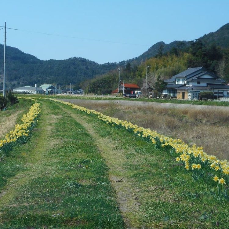 ＤＪゴン太さんが投稿した隠岐の島町沿岸に関する口コミの画像