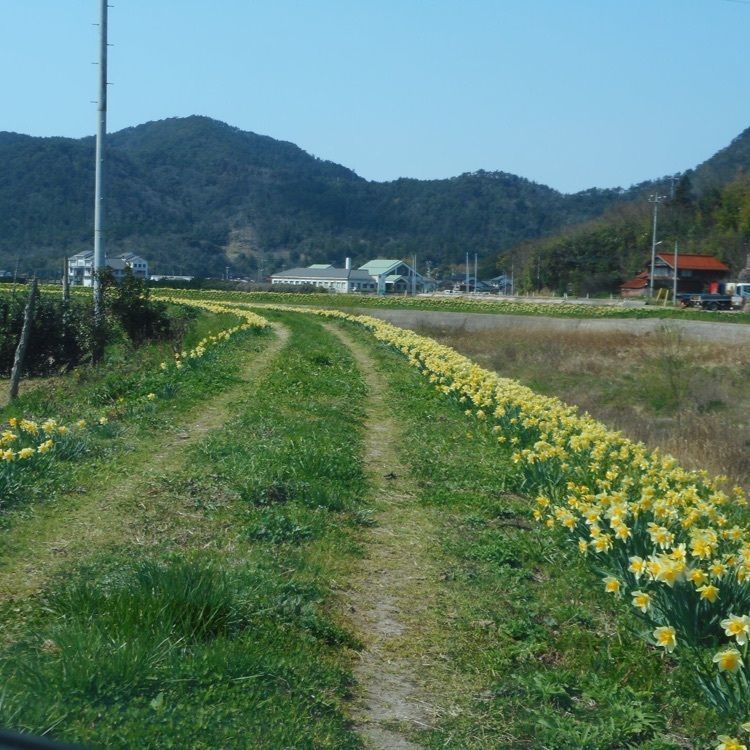 ＤＪゴン太さんが投稿した隠岐の島町沿岸に関する口コミの画像