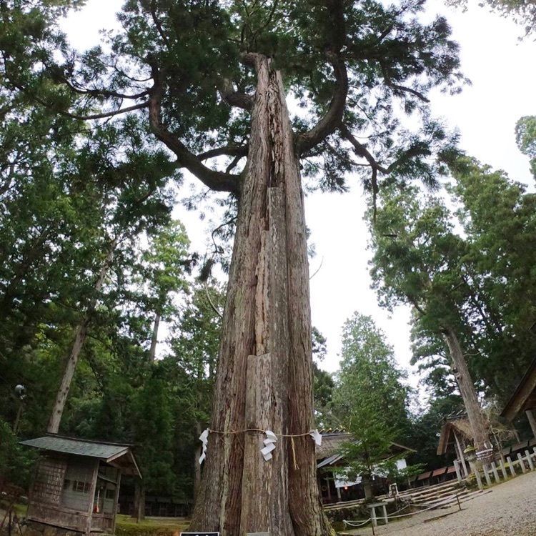 ruujunさんが投稿した元伊勢内宮皇大神社に関する口コミの画像