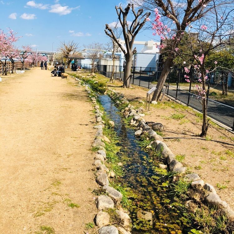 マカロンさんが投稿した魚崎駅に関する口コミの画像