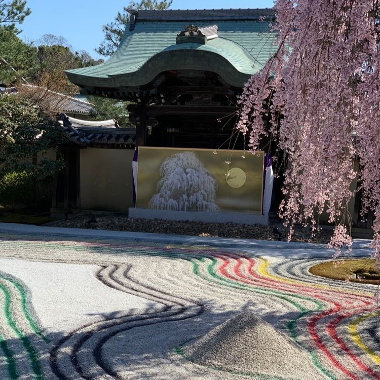 chou chou tabiさんが投稿した高台寺 一休庵（こうだいじ いっきゅうあん）に関する口コミの画像