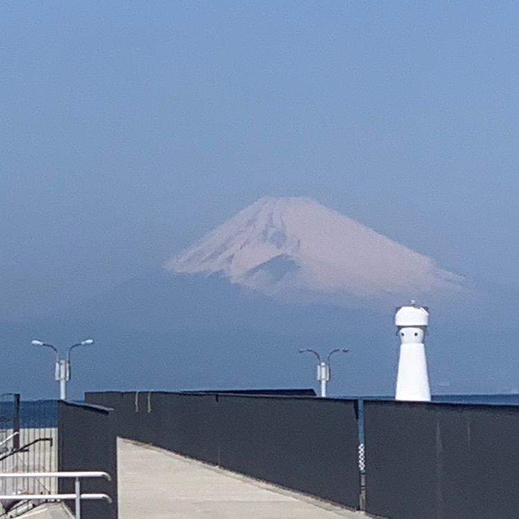 Mickingさんが投稿したリニューアル 大島郷土料理 居酒屋よりみちに関する口コミの画像