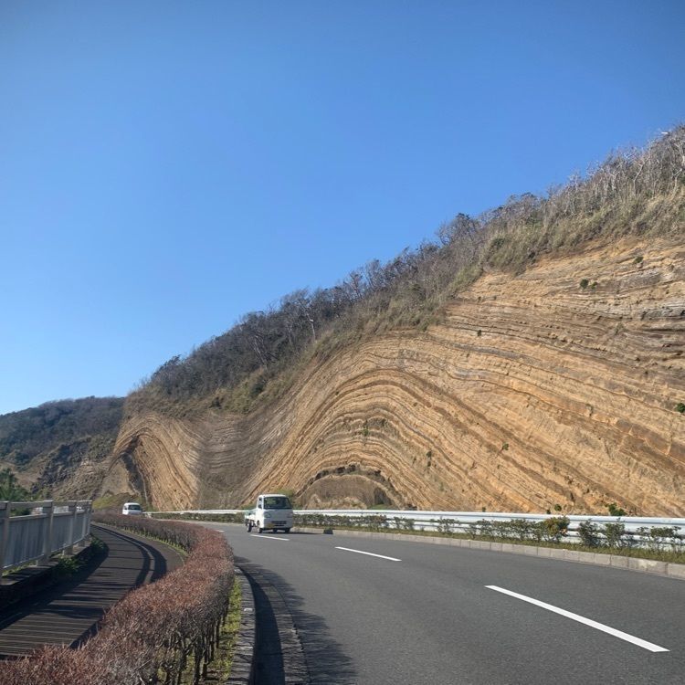 Mickingさんが投稿したリニューアル 大島郷土料理 居酒屋よりみちに関する口コミの画像