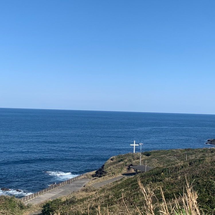 Mickingさんが投稿したリニューアル 大島郷土料理 居酒屋よりみちに関する口コミの画像