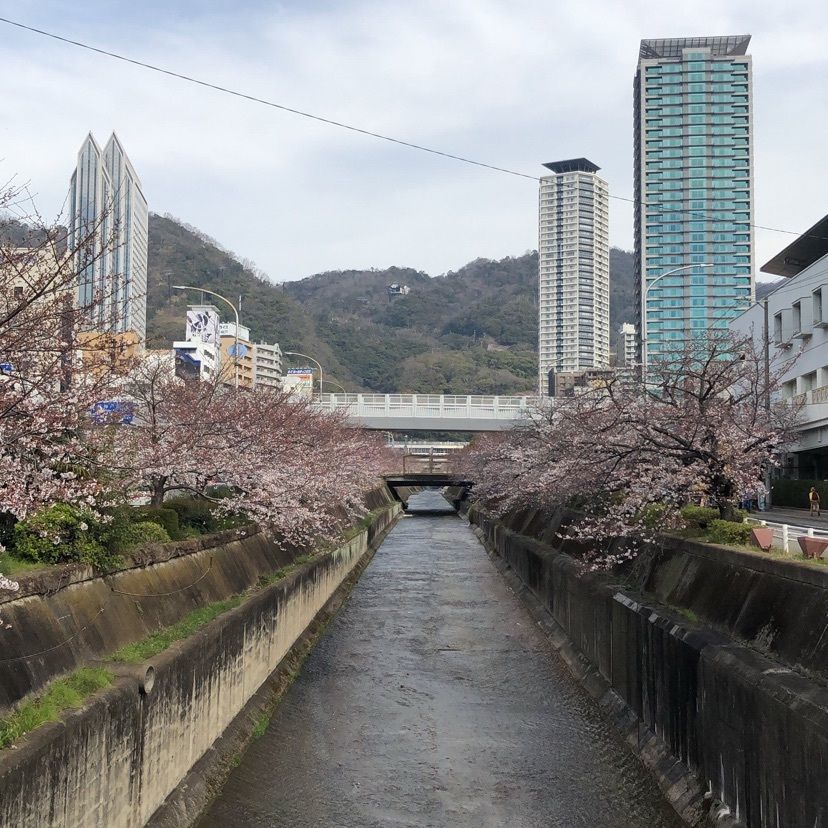 8ちゃんさんが投稿した神戸市営地下鉄新神戸駅に関する口コミの画像