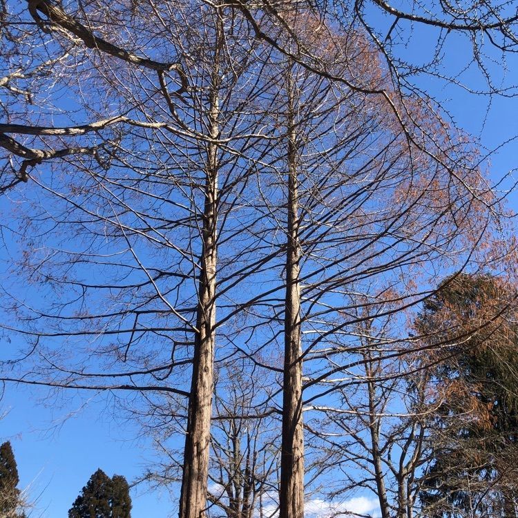 kazu&kinakoさんが投稿した善光寺跡に関する口コミの画像