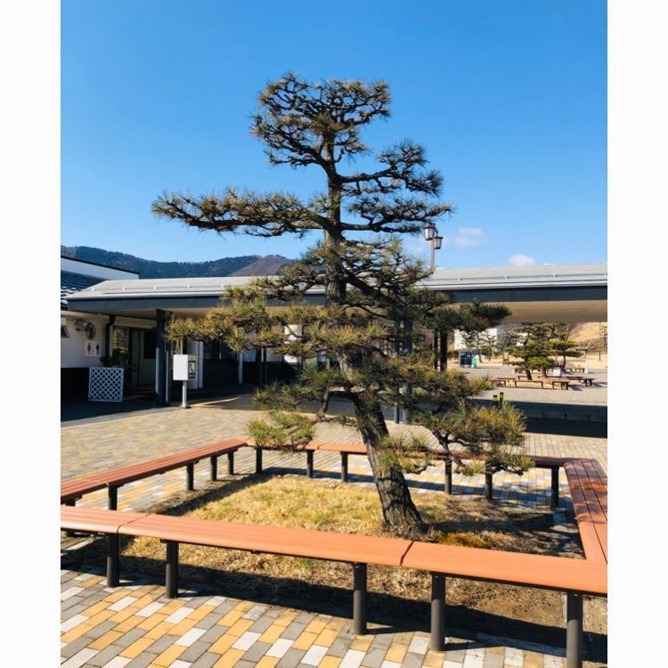 サトツルさんが投稿した松代パーキングエリア 下り ショッピングコーナーに関する口コミの画像