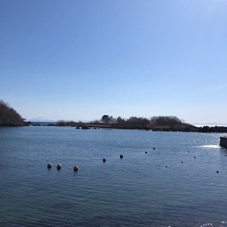 kazu&kinakoさんが投稿した伊達市Ｂ＆Ｇ海洋センターに関する口コミの画像