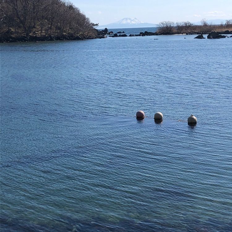 kazu&kinakoさんが投稿した伊達市Ｂ＆Ｇ海洋センターに関する口コミの画像
