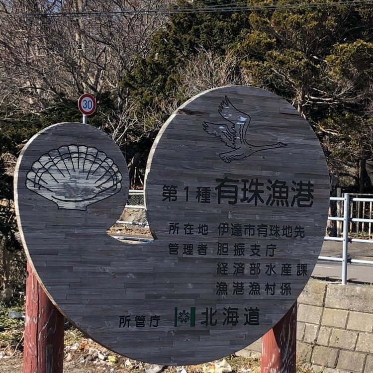 kazu&kinakoさんが投稿した伊達市Ｂ＆Ｇ海洋センターに関する口コミの画像