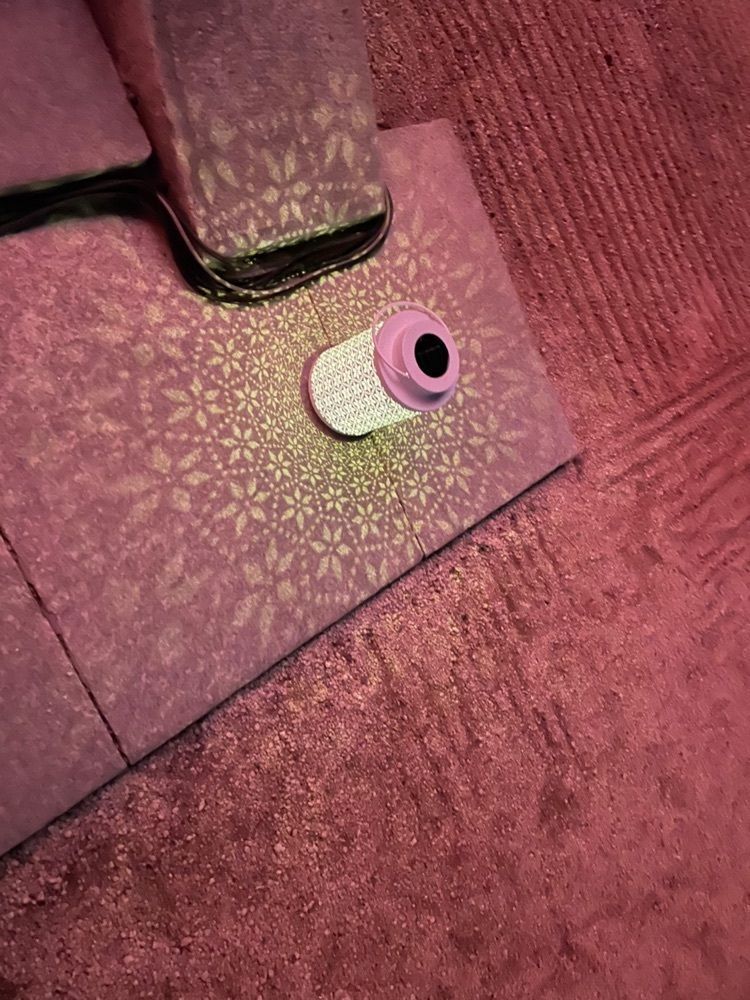 ぷにさんが投稿した平安神宮に関する口コミの画像