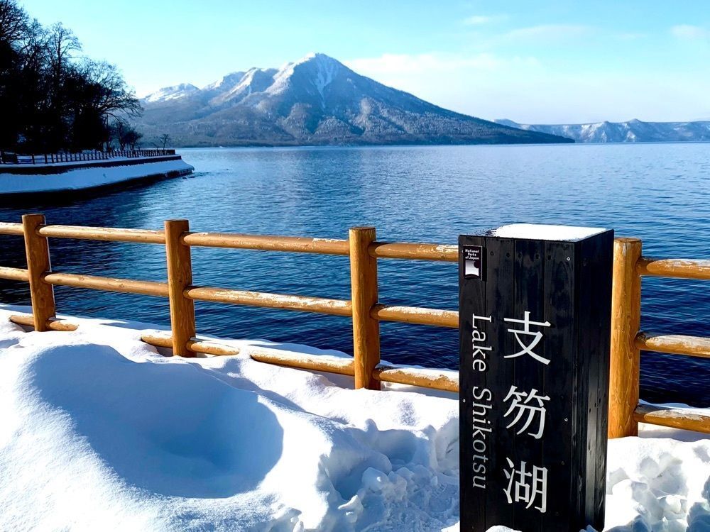 リリーの画像
