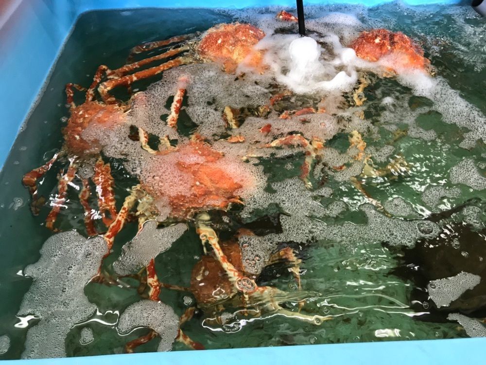 かますさんが投稿したの一食堂（のいちしょくどう）に関する口コミの画像