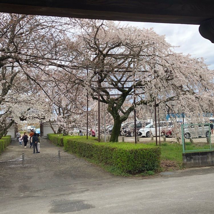 令和 Nin1000さんが投稿した北野桝塚駅に関する口コミの画像