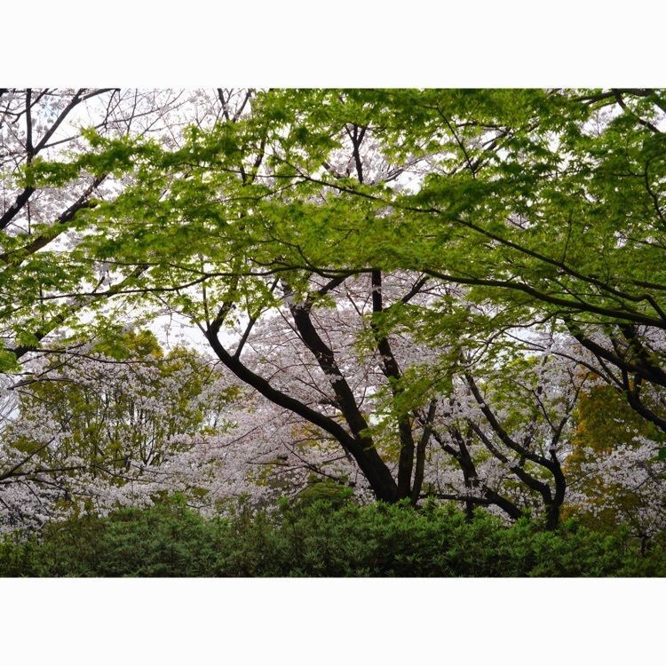 ＹＵＫＫＩＮさんが投稿した平和島公園に関する口コミの画像