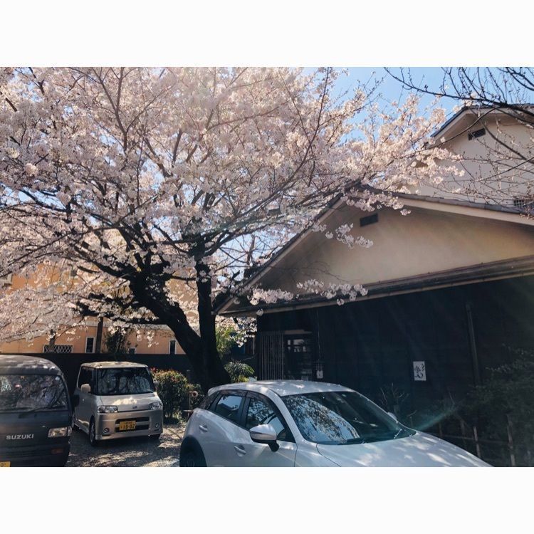 サトツルさんが投稿した稲荷小路 そばきり 悠々庵（ゆうゆうあん）に関する口コミの画像