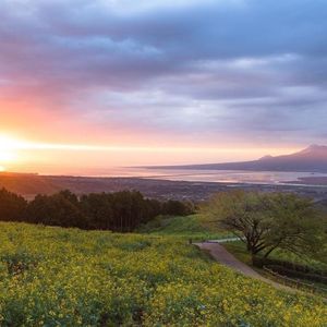 白木峰高原 7枚目