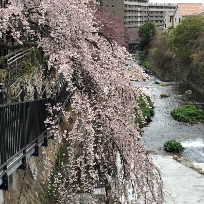 あやのんさんが投稿した有馬温泉 月光園 游月山荘に関する口コミの画像
