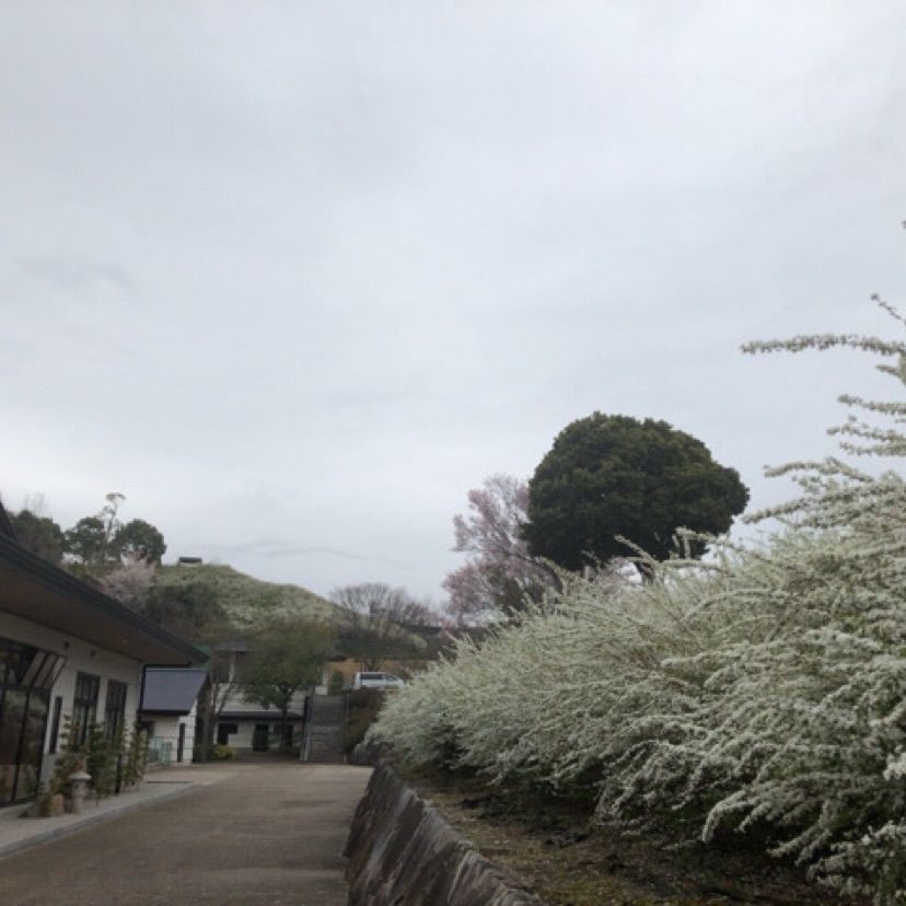 aki_1018simanchu⭐︎さんが投稿した岡崎中央総合公園に関する口コミの画像