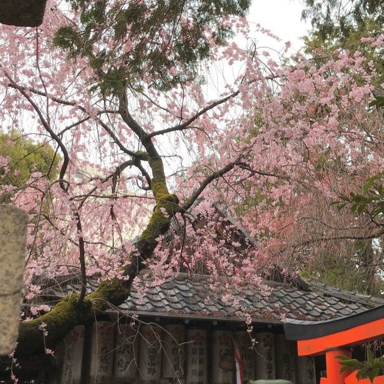 NBR OTさんが投稿した水火天満宮に関する口コミの画像