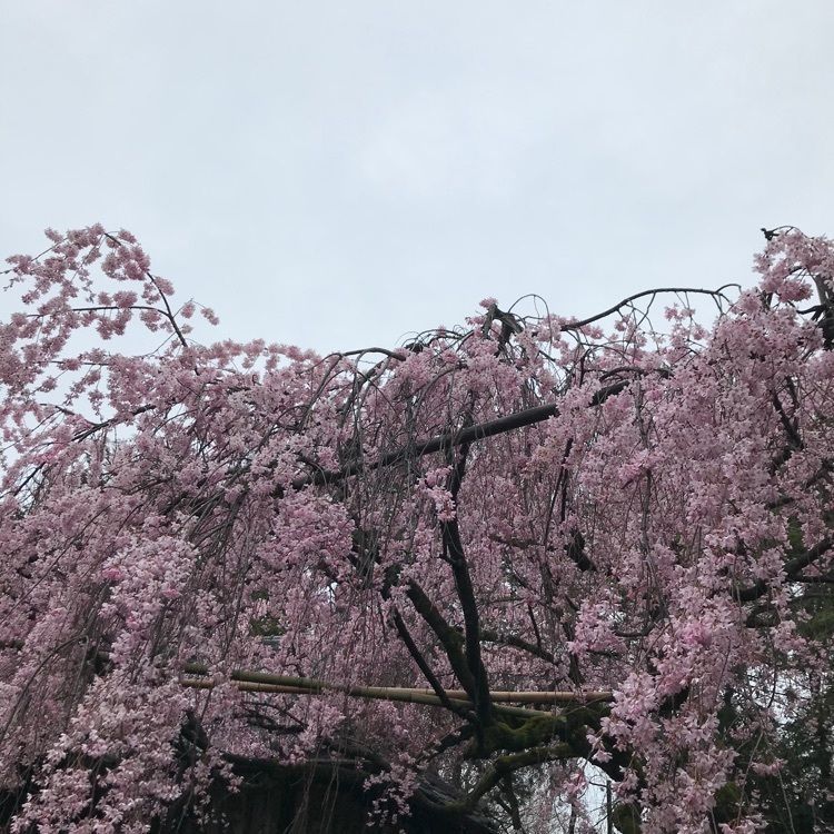 NBR OTさんが投稿した水火天満宮に関する口コミの画像
