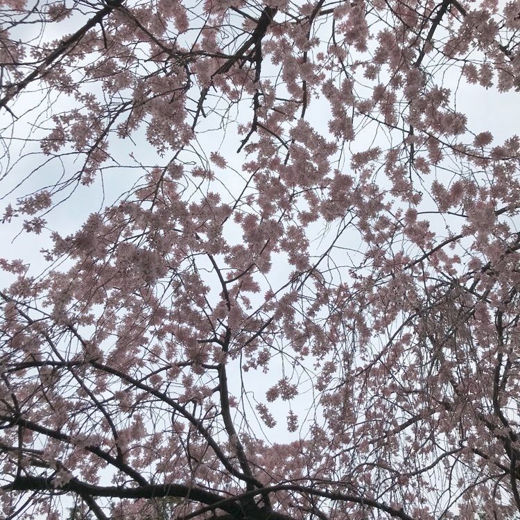 NBR OTさんが投稿した水火天満宮に関する口コミの画像