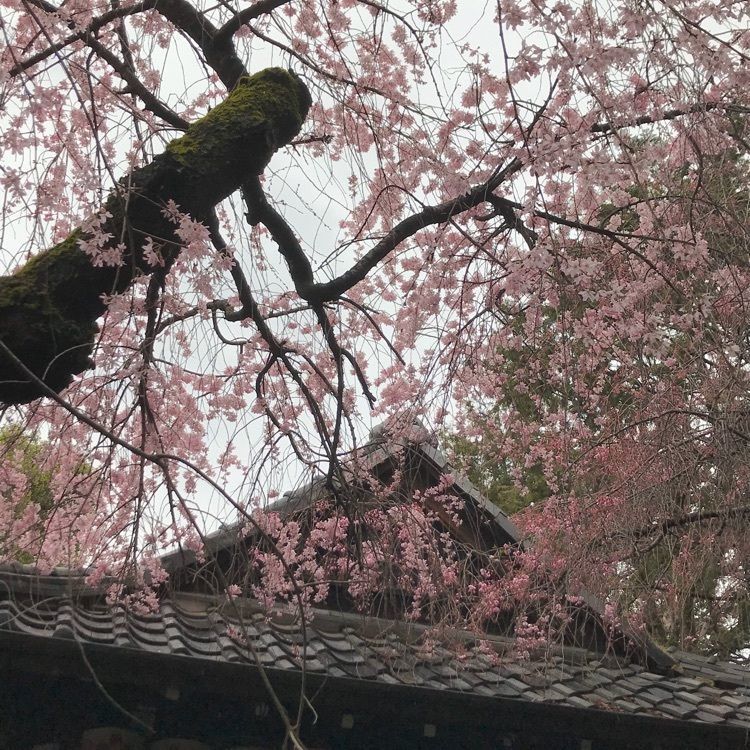 NBR OTさんが投稿した水火天満宮に関する口コミの画像