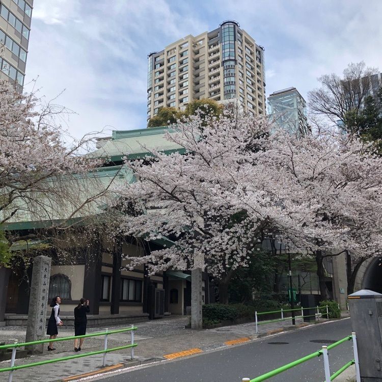 気ままなトラベラーさんが投稿した愛宕神社に関する口コミの画像