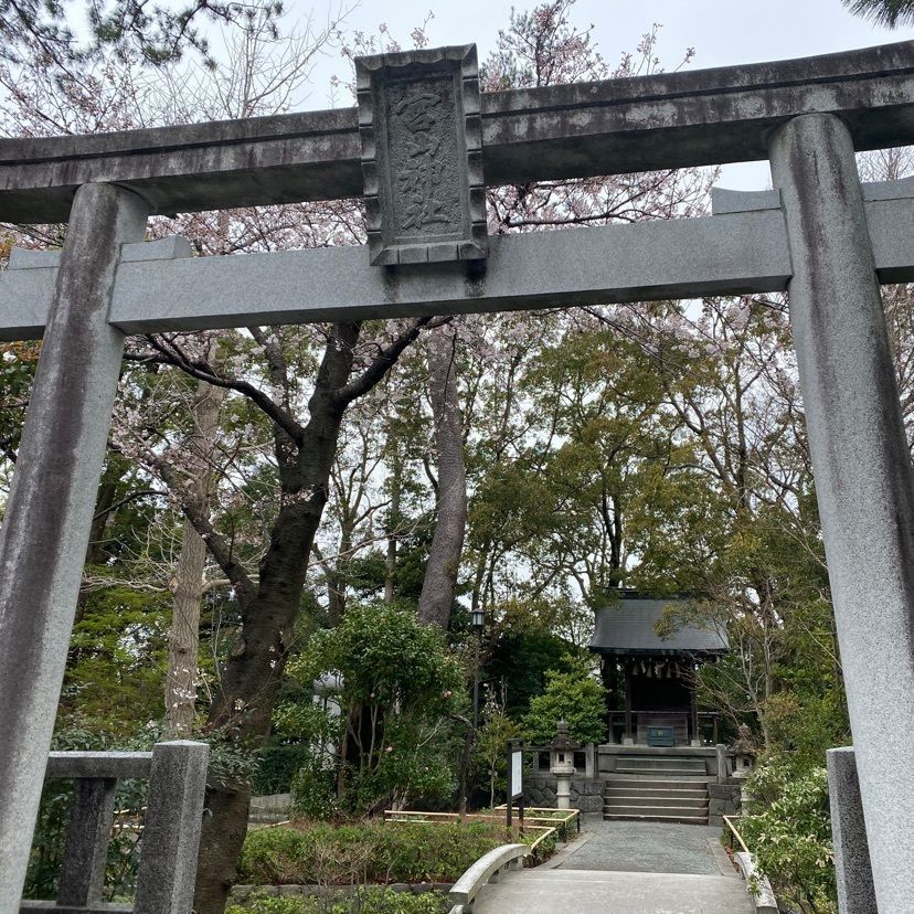 RIMさんが投稿した寒川町役場に関する口コミの画像