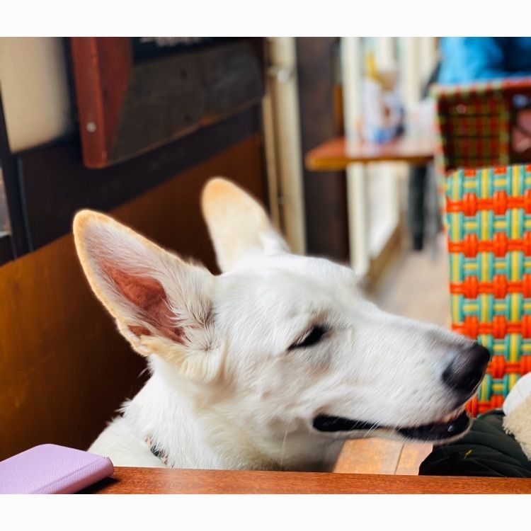 wonderful_street_830dさんが投稿したクラフトの里 ダラスヴィレッジに関する口コミの画像
