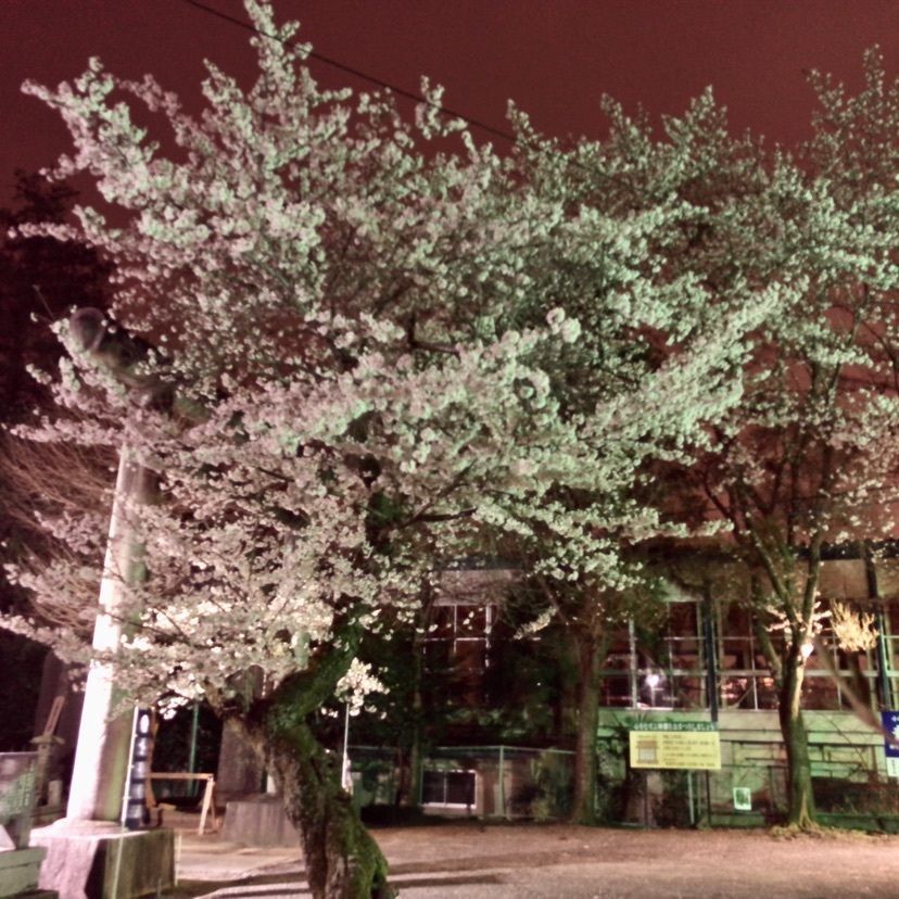 Hiroxさんが投稿した小美玉市小川図書館資料館に関する口コミの画像