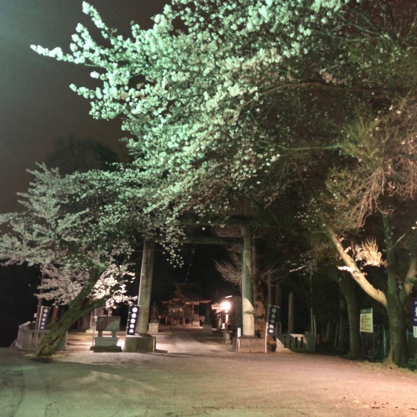 Hiroxさんが投稿した小美玉市小川図書館資料館に関する口コミの画像