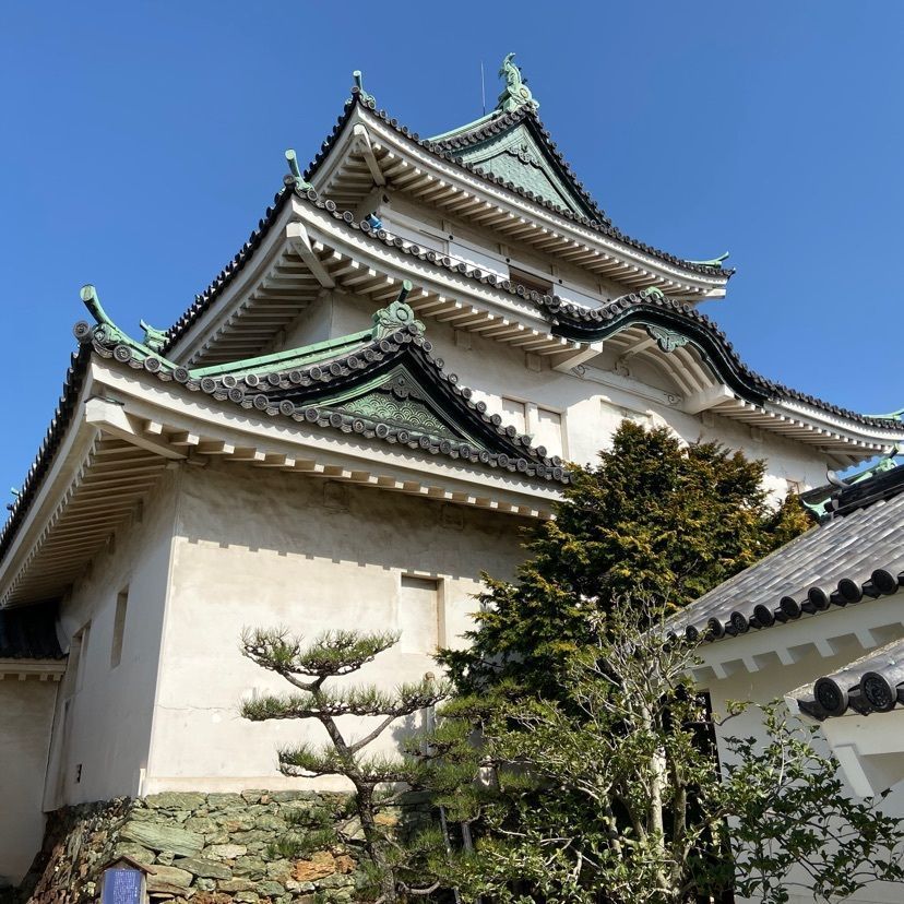 やすさんが投稿した和歌山城に関する口コミの画像