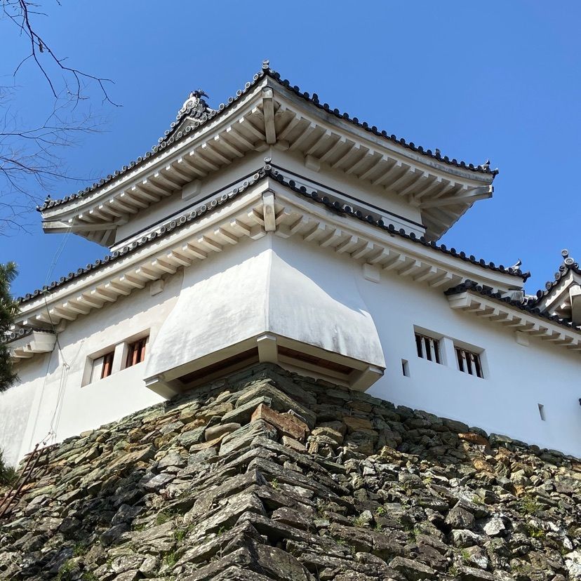 やすさんが投稿した和歌山城に関する口コミの画像