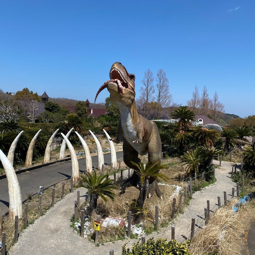 🤎アイヒンまま🤎さんが投稿した伊豆ぐらんぱる公園フィールドアスレチックコースに関する口コミの画像