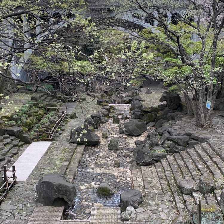 シュガーさんが投稿した音無親水公園に関する口コミの画像