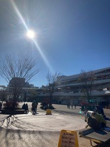 乃が美 はなれ テラスモール湘南店 7枚目