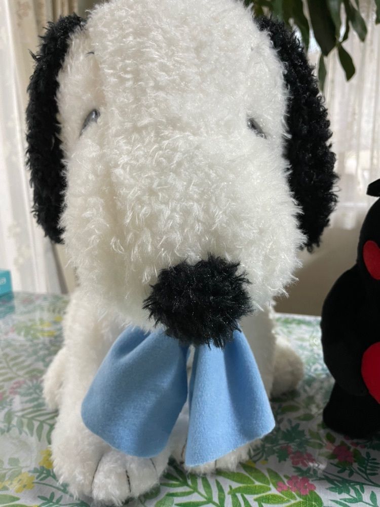 みぃさんが投稿したフジ 志度店に関する口コミの画像