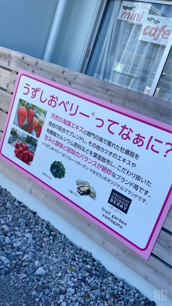 22kaguraさんが投稿したTODA Berry Farm（トダ ベリー ファーム）に関する口コミの画像