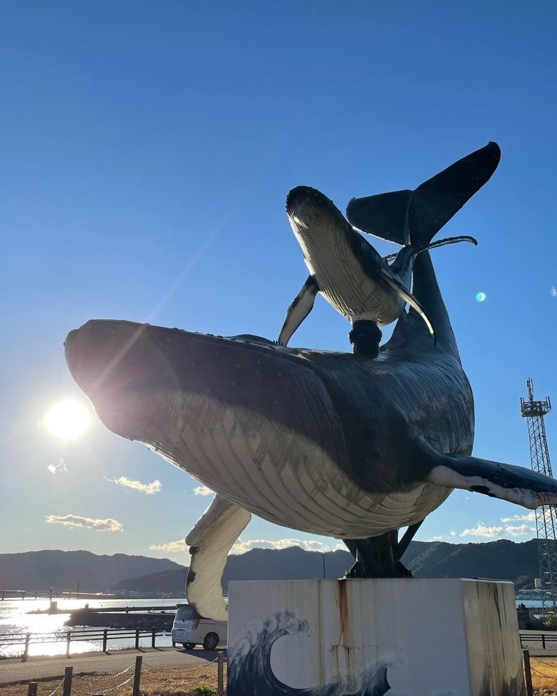 cool_culture_9717さんが投稿した宇佐ホエールウォッチングに関する口コミの画像