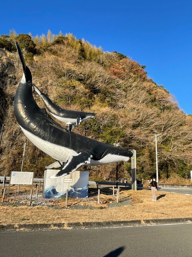 cool_culture_9717さんが投稿した宇佐ホエールウォッチングに関する口コミの画像