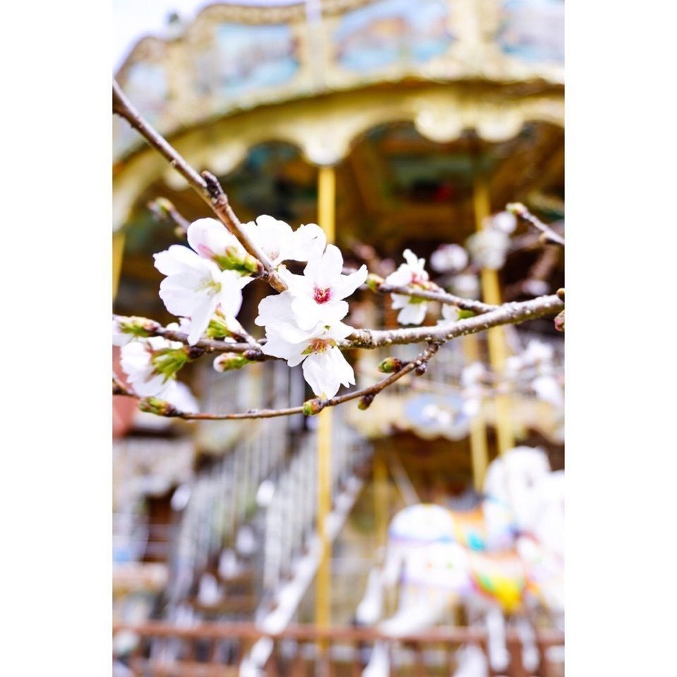 urban_garden_243aさんが投稿したみさき公園に関する口コミの画像