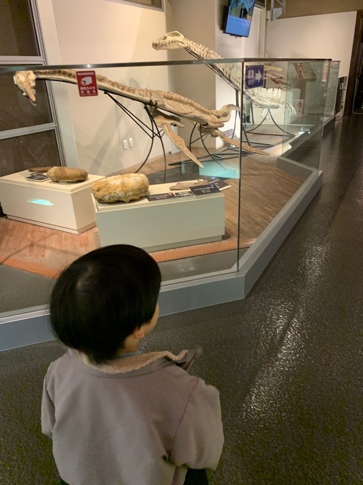 マルシェさんが投稿した佐賀県立宇宙科学館「ゆめぎんが」に関する口コミの画像
