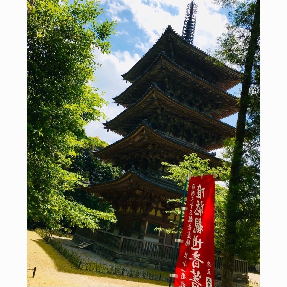 ＫMＴKさんが投稿した醍醐寺(京都市伏見)に関する口コミの画像