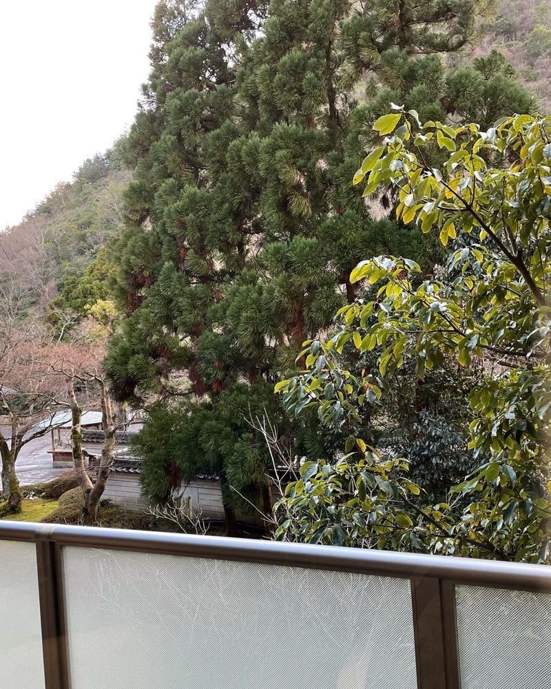 みゆきさんが投稿した東急ハーヴェストクラブ 京都鷹峯（TOKYU Harvest Club）に関する口コミの画像