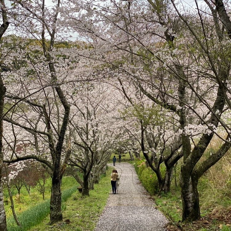 trickyさんが投稿した花の森公園に関する口コミの画像