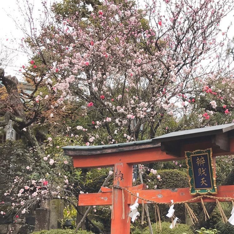 NBR OTさんが投稿した首途八幡宮に関する口コミの画像