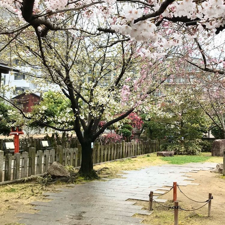 NBR OTさんが投稿した首途八幡宮に関する口コミの画像