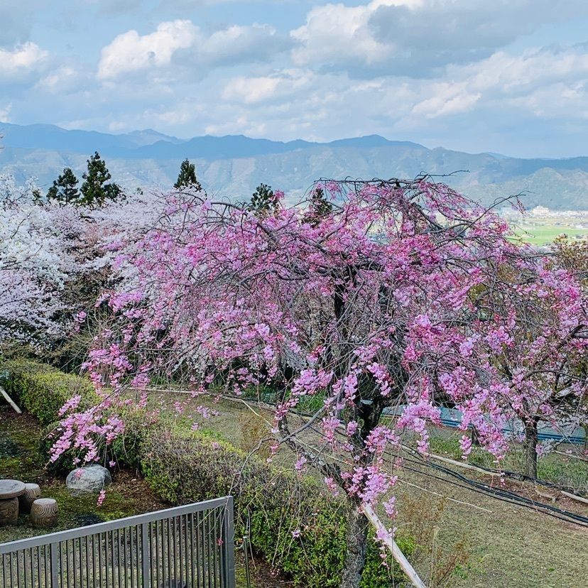 だるま大使さんが投稿した天然温泉 湯元 湯華の郷に関する口コミの画像