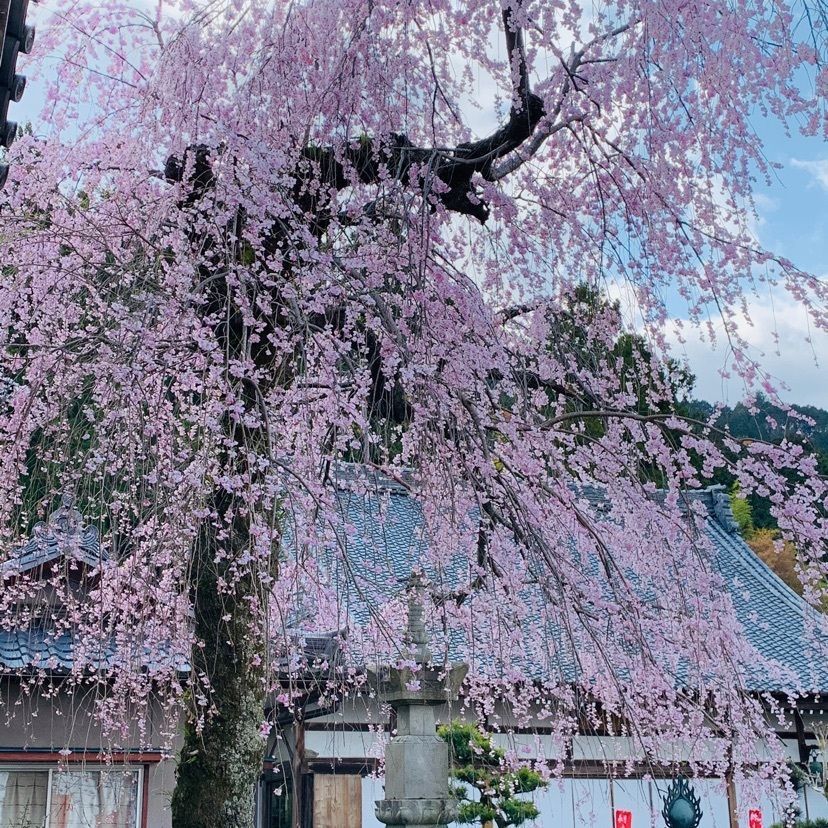 だるま大使さんが投稿した天然温泉 湯元 湯華の郷に関する口コミの画像